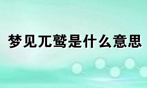 梦见兀鹫是什么意思 梦见秃鹫