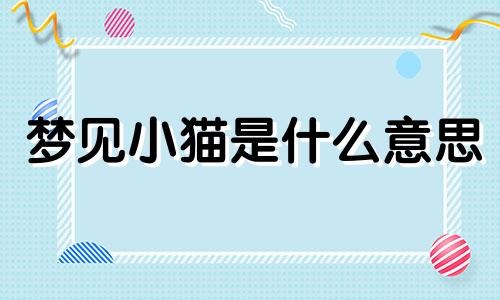 梦见小猫是什么意思 梦见小猫崽是什么预兆