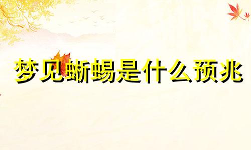 梦见蜥蜴是什么预兆 梦见蜥蜴周公解梦原版