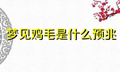 梦见鸡毛是什么预兆 梦见鸡毛毽子是什么意思