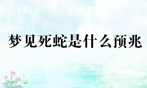 梦见死蛇是什么预兆 梦见死蛇是什么意思 周公解梦