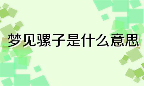 梦见骡子是什么意思 梦见骡子疯狂的跑