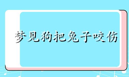 梦见狗把兔子咬伤 梦见狗把兔子咬死了这是什么梦