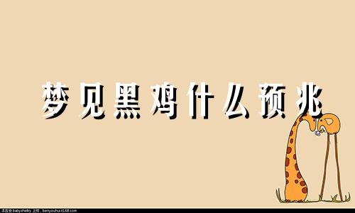 梦见黑鸡什么预兆 梦见黑鸡蛋是什么预兆