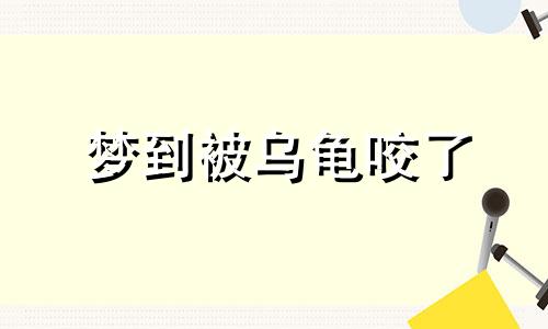 梦到被乌龟咬了 梦被乌龟咬了