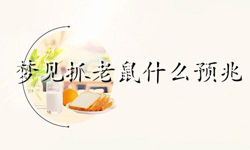 梦见抓老鼠什么预兆 梦见抓老鼠周公解梦