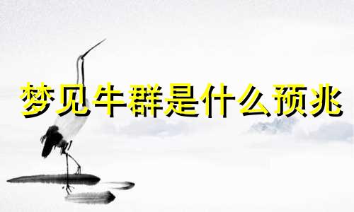 梦见牛群是什么预兆 梦见牛群奔跑是什么意思周公解梦