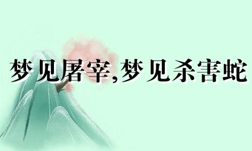 梦见屠宰,梦见杀害蛇 梦见屠宰人是什么意思