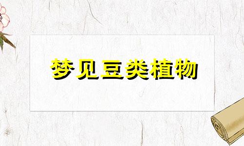 梦见豆类植物 梦见豆的意思是什么