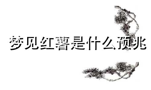 梦见红薯是什么预兆 梦见红薯又大又红