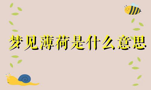 梦见薄荷是什么意思 梦见薄荷叶周公解梦