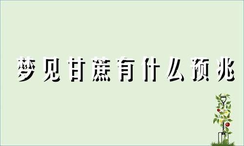 梦见甘蔗有什么预兆 梦见甘蔗什么意思佛滔