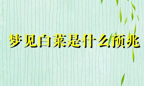 梦见白菜是什么预兆 梦见白菜原版周公解梦