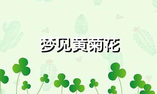 梦见黄菊花