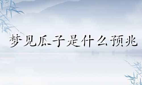 梦见瓜子是什么预兆 梦见瓜子装满袋子是什么意思啊