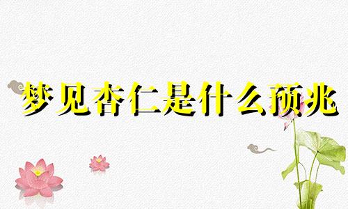 梦见杏仁是什么预兆 梦见杏仁、吃杏仁预示将来会发生什么?