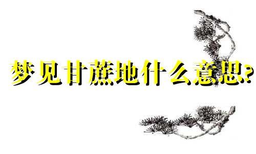 梦见甘蔗地什么意思? 梦见甘蔗地好多甘蔗又高又好