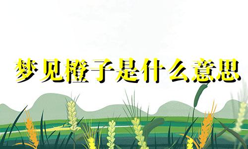 梦见橙子是什么意思 梦见橙子有什么预兆