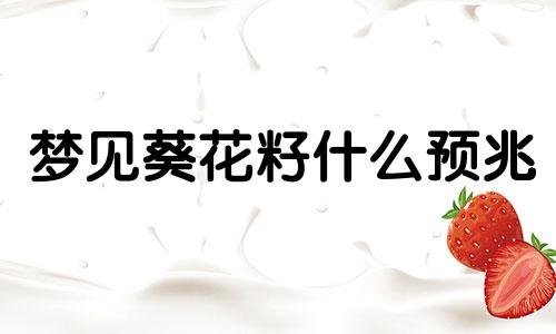 梦见葵花籽什么预兆 梦见葵花籽原版周公解梦