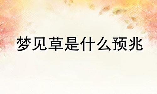 梦见草是什么预兆 梦见草打一生肖