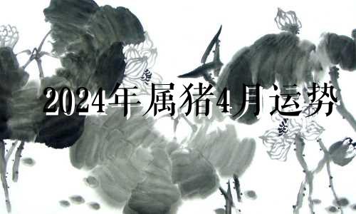 2024年属猪4月运势 2024年猪人全年运势