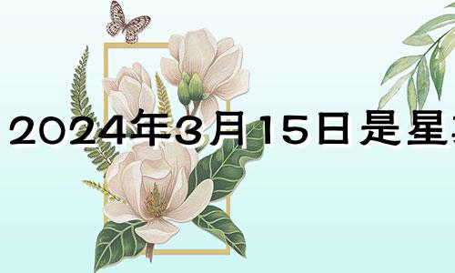 2024年3月15日是星期几? 2024年3月14号