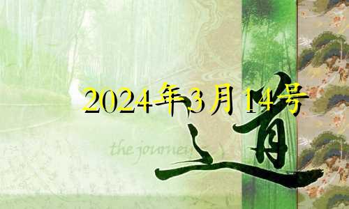 2024年3月14号 2024年3月14日是星期几