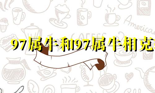 97属牛和97属牛相克? 97牛与97牛婚配好不好