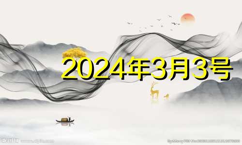 2024年3月3号 2024年3.14日