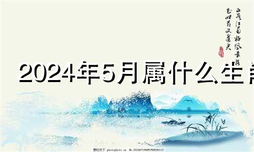 2024年5月属什么生肖 2024年5月4日