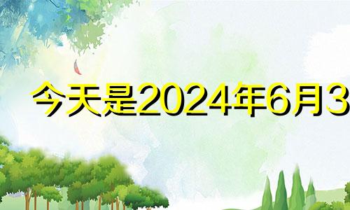 今天是2024年6月30日 2024年6月1日黄历