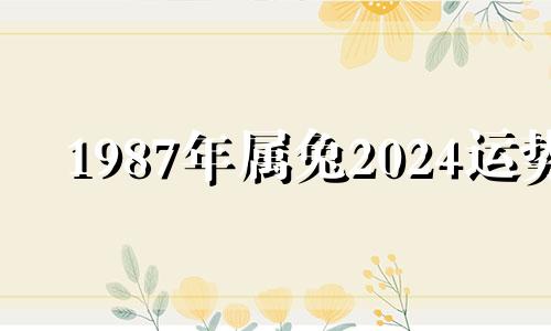 1987年属兔2024运势 87年属兔2024运势怎样